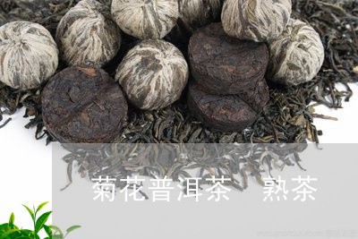 菊花普洱茶 熟茶/2023031789581